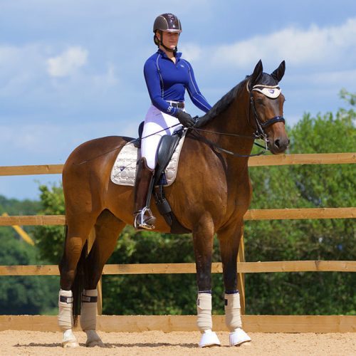 Woof Wear VISION Bandages