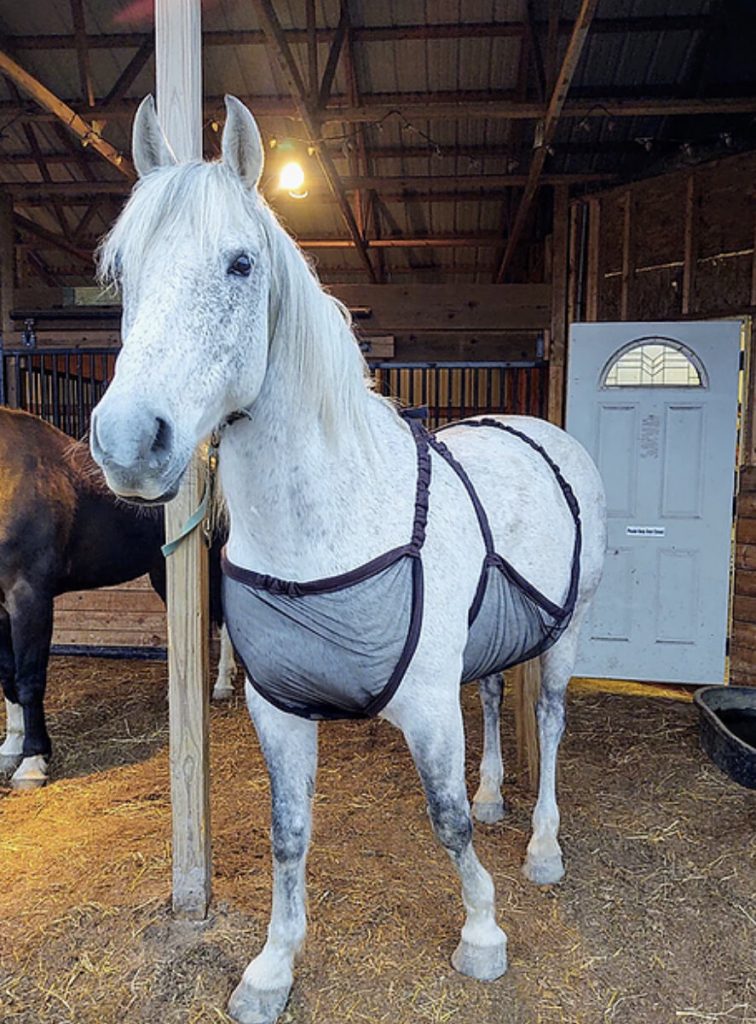 Horsehoodies Uniguard Fly Protection