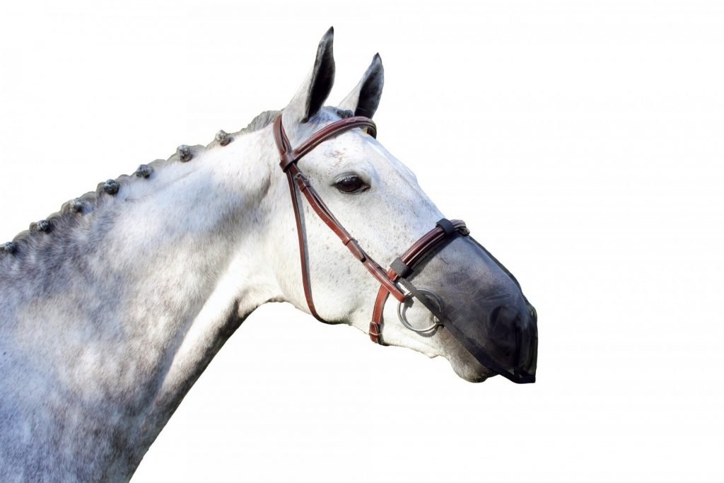 QHP Anti-fly Nose Protection