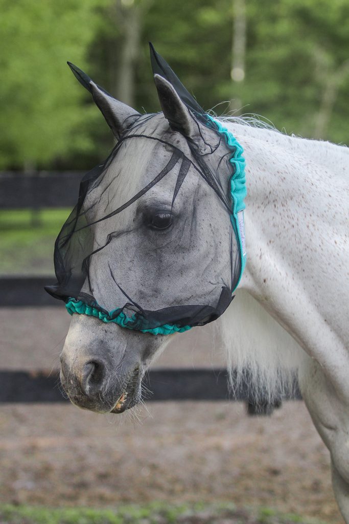 Horsehoodies Half Hoodie