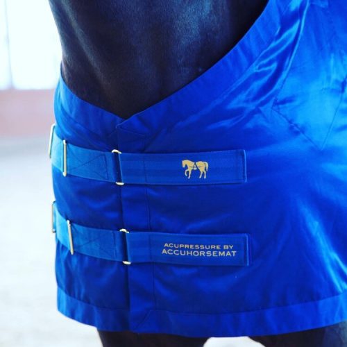 Accuhorsemat Cooler (with new acupressure on the back)