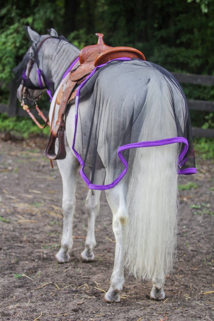 Horsehoodies Glute Guard