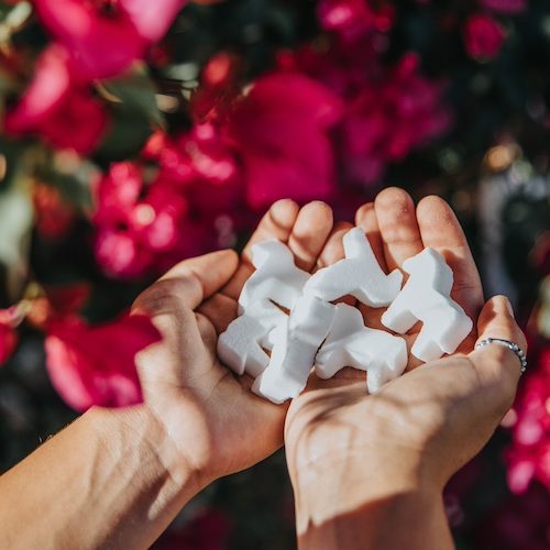 Sweet Bite - Better Sugar For Horses Weekend Edition