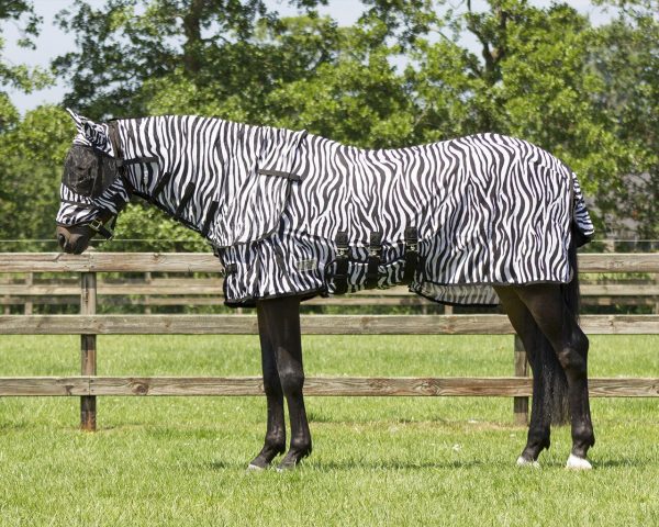 QHP Anti-fly sheet/rug with neck and hood Zebra