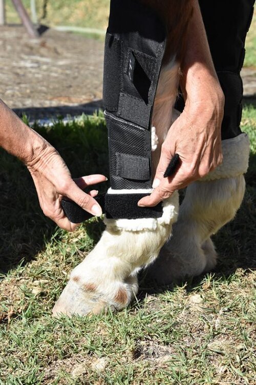 Click Hock Shields Ultra - Small/Medium Horse Hock Protection Boots