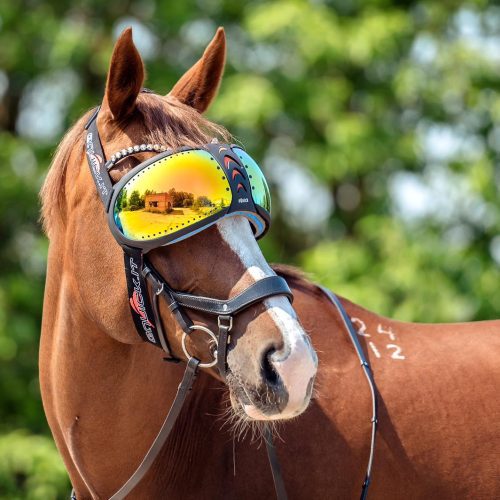 eVysor Lenses for Eye Protection Goggles eQuick