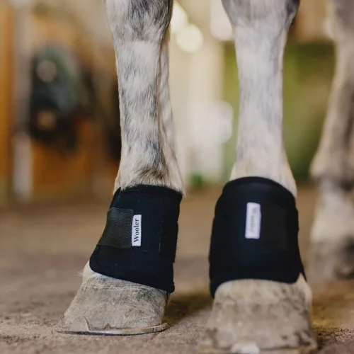 Wooler Pastern Wraps
